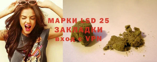 ешки Сосновый Бор