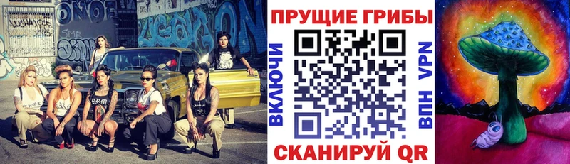 сколько стоит  Новохопёрск  Галлюциногенные грибы мицелий 
